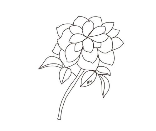 花一点时间,画一幅花朵简笔插画,很简单!