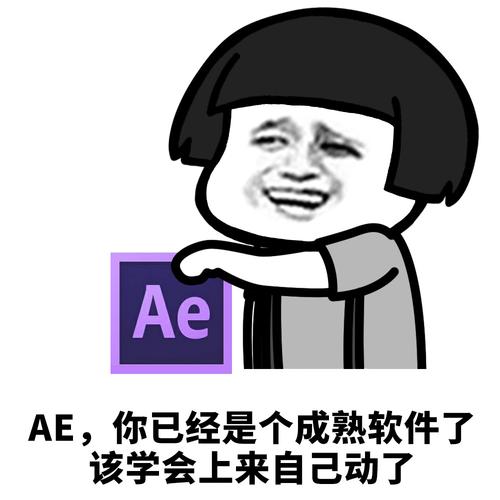aeae,你已经是个成熟软件了该学会上来自己动了 - 你们都已经是个成熟