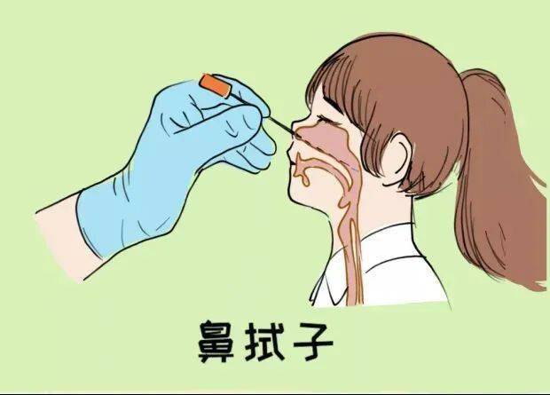 敏感的药物来治疗,从而可以达到比较好的疗效,因此鼻咽拭子实际上就是