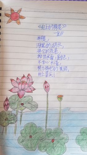 我们的诗歌摘抄集(四)