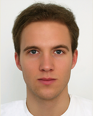 互动式人脸表情系统