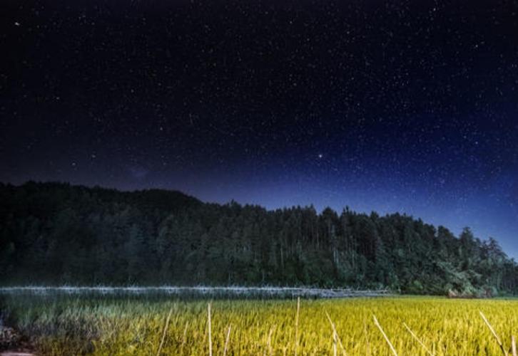 十点钟的夜晚