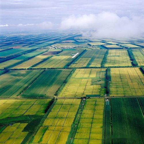 《三江平原湿地生态文化季》湿地植物摄影作品——庄艳平