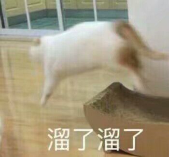 遛了溜了