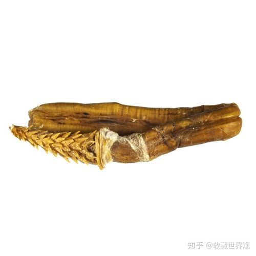 虎鞭,主要含有磷酸钙和蛋白质等成分,是中医药中最常用的最,具有药用