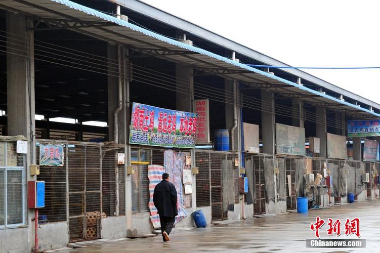 广州活禽市场15日起休市两周