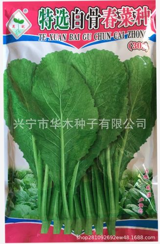 华木范记春菜种子农家菜嫩春芥子菜米蔬菜白梗四季甜春菜盆栽批发