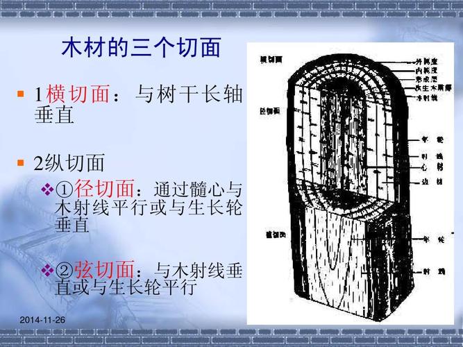 理学 木材结构与性能培训讲义ppt  木材的三个切面   1 横切面:与树干