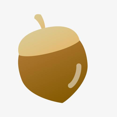 卡通手绘坚果png