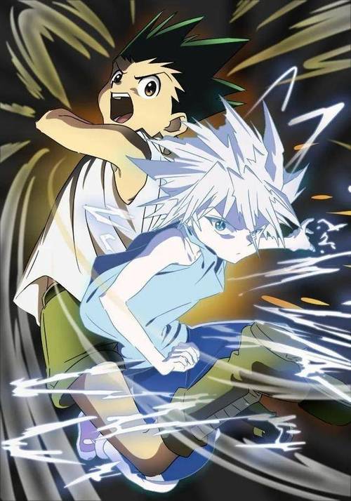 壁纸|《全职猎人》请问全职有什么缺点呢?