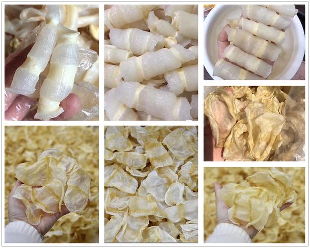 鱼胶品种大全(图解)17 - 红鱼胶