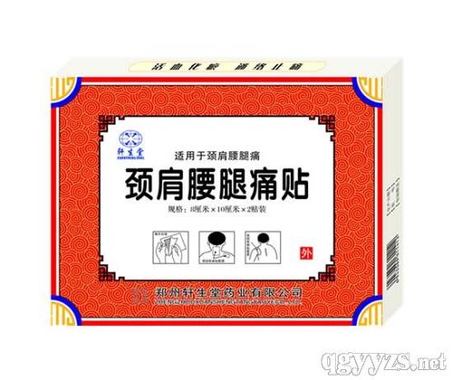 颈肩腰腿痛贴-新品2贴装