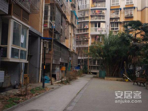 成都小区 青白江小区 青白江小区 凤凰小区  实景图 1/ 22  &