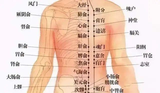 腰椎病,腰痛在家怎么艾灸?具体要灸哪?医生告诉你