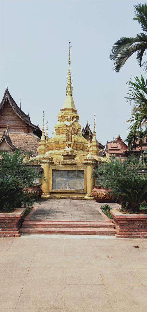 西双版纳傣族园大佛寺孔雀放飞歌舞篝火晚会记