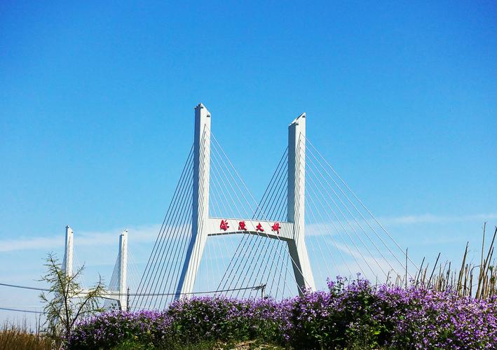 海陵大桥