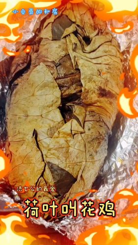 荷叶叫花鸡
