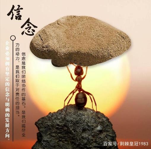 坚定的信念,来源于一颗纯粹以善的心,唯有心灵纯净才会无往不利