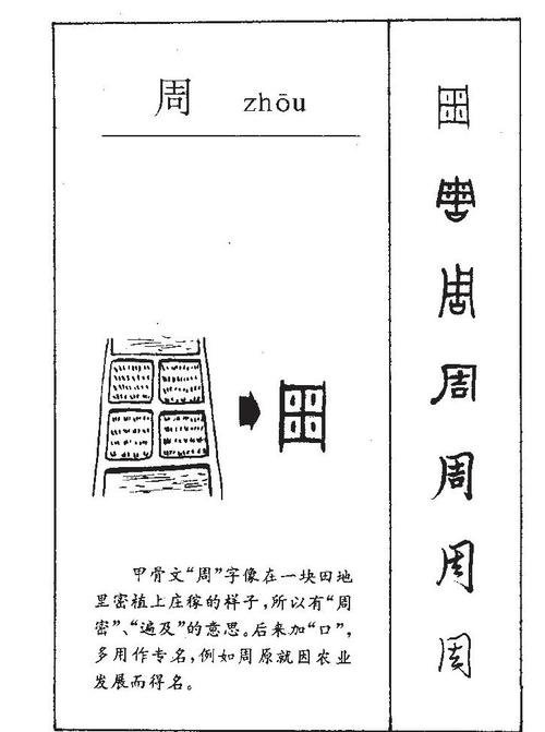 周周的拼音笔顺意思解释英文五行属性部首结构