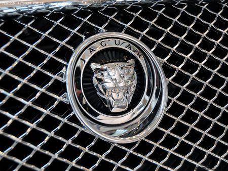 狮子头标志是什么车丛谁可以帮我?