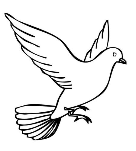 鸟儿童画图片_飞翔的鸟儿童绘画图集 小鸟简笔画