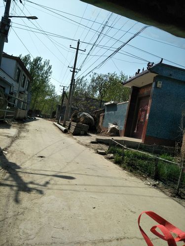 河南省周口市项城市002乡道靠近南李营村天气预报