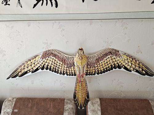 盘鹰风筝百画集