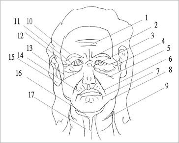 脸上皱纹你知多少 ? | evvus – 细胞再生专家 – 官方blog