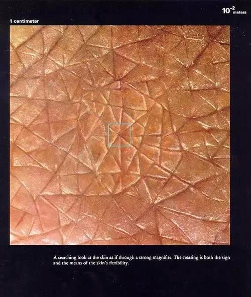 当你的皮肤放大一亿倍 恐怖的事情发生了!