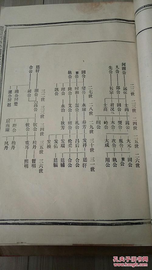 578唐朝李世民皇帝后裔 族谱,特大三厚册全,李氏家族从唐朝到1990年