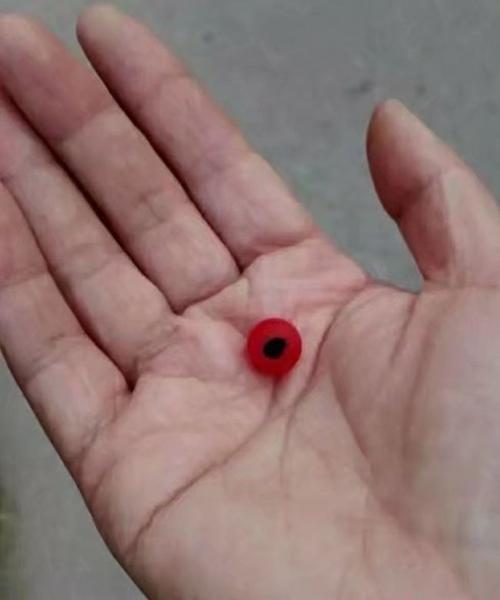 随即一颗红豆掉到手里,原来"瓜熟蒂落"呀,没人采摘,它自然会掉的