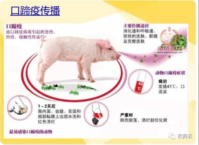 预防口蹄疫最常用消毒剂及消毒方式
