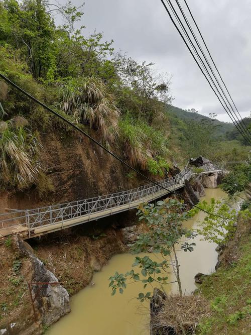 2019年3月10日登云浮大云雾山