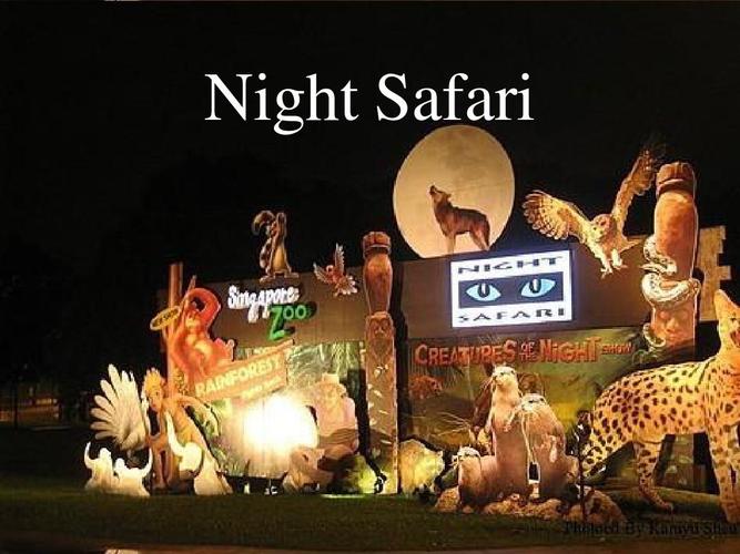非常成功的一节课 night safari