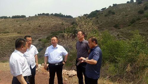 治法有常·利民为木——沁县自然资源局近日工作小集