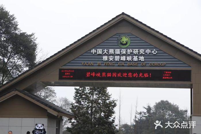 中国大熊猫保护研究中心雅安碧峰峡基地图片