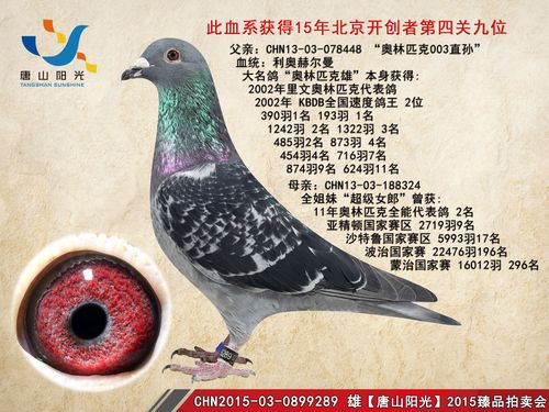 唐山阳光 - 中信网铭鸽展厅 www.ag188.com