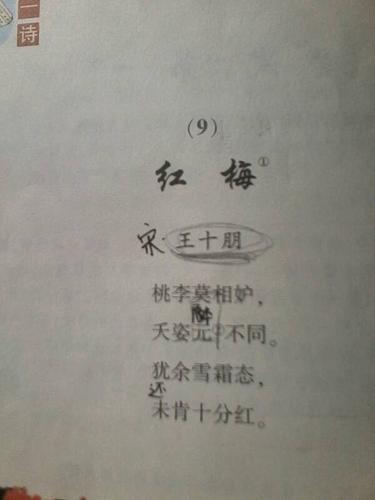 关于梅花的诗或词