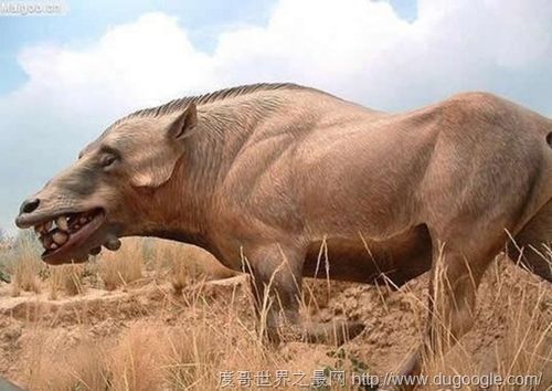 地球上的远古十大怪兽,十大已灭绝的远古巨型怪兽