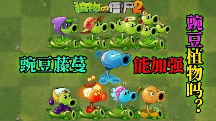 pvz2干货测试 豌豆藤蔓能加强哪些植物?