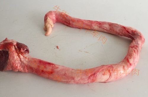 包邮生鲜内蒙土黄牛牛鞭热销新鲜牛肉生牛肉牛鞭牛睾丸鲜牛蛋500g