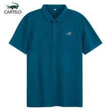 加拿大代购 lacoste 法国鳄鱼 儿童t恤polo衫 新款 款