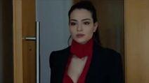 kara sevda