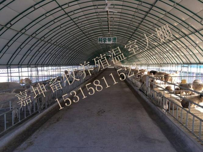 特价供应优质养殖温室大棚建设 大棚结构牛舍 采购养殖温室大棚