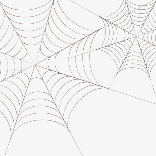 矢量手绘蜘蛛网