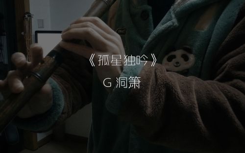 【洞箫】意向不到的新手练习曲《孤星独吟》