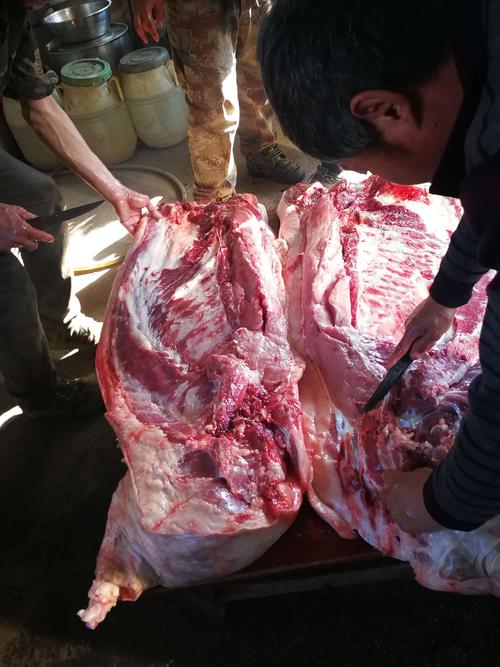 我要半拉猪肉半子