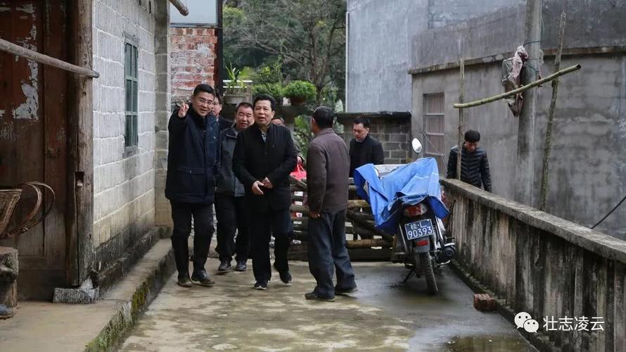 凌云县,陇槐村,谭建生,加尤镇