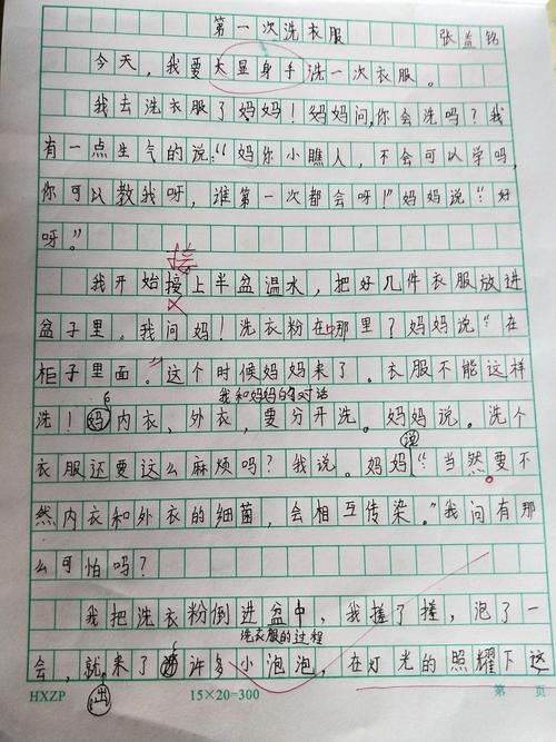 《我会洗衣服了》优秀作文展