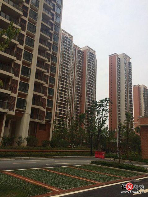 实探白沙洲百万方社区——清能清江锦城 二期尾盘在售明年年初加推